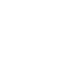 Avatar AI