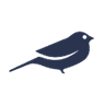 Robin AI